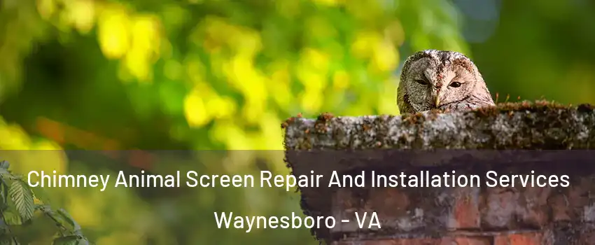  Chimney Animal Screen Repair And Installation Services Waynesboro - VA