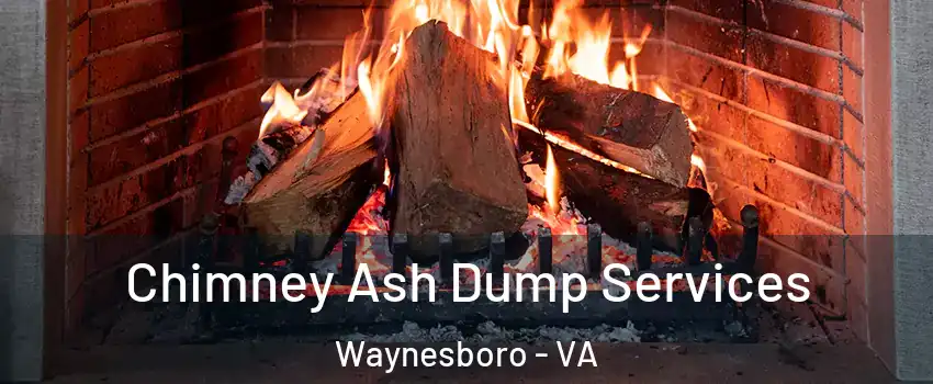  Chimney Ash Dump Services Waynesboro - VA