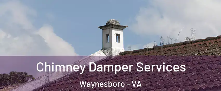  Chimney Damper Services Waynesboro - VA