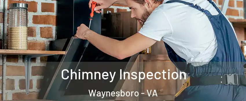  Chimney Inspection Waynesboro - VA