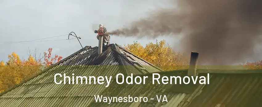  Chimney Odor Removal Waynesboro - VA