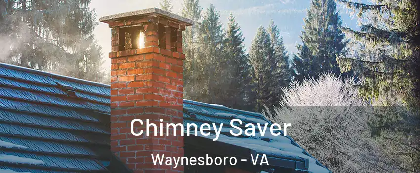  Chimney Saver Waynesboro - VA
