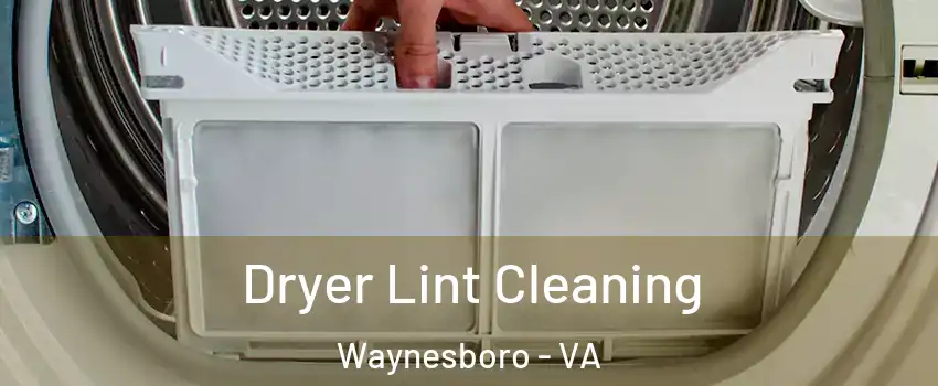  Dryer Lint Cleaning Waynesboro - VA