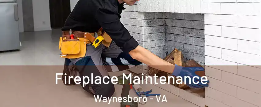  Fireplace Maintenance Waynesboro - VA
