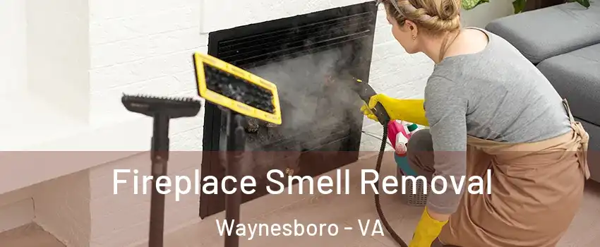  Fireplace Smell Removal Waynesboro - VA