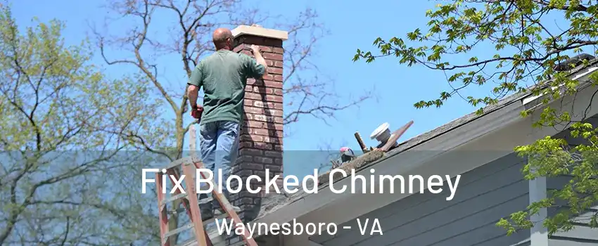  Fix Blocked Chimney Waynesboro - VA