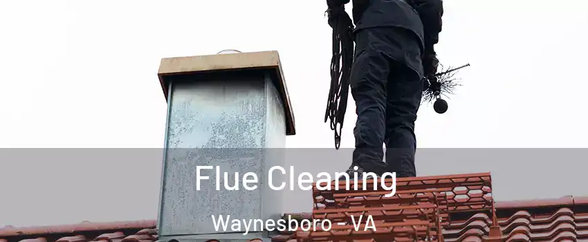  Flue Cleaning Waynesboro - VA