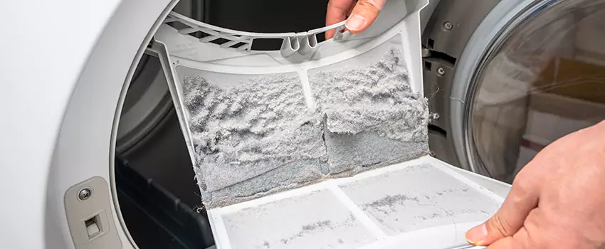 Best Dryer Lint Removal Company in Waynesboro, Virginia