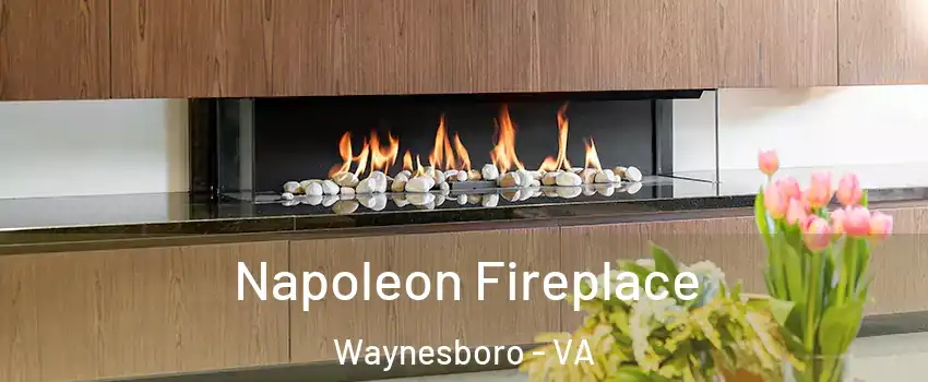  Napoleon Fireplace Waynesboro - VA